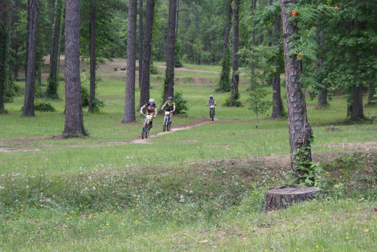 Three mountain bikers ride along a dirt path in a lush green forest, surrounded by tall pine trees. The trail winds through the grass, with a backdrop of vibrant greenery and wildflowers. Flat Rock Park mountain bike trail.
