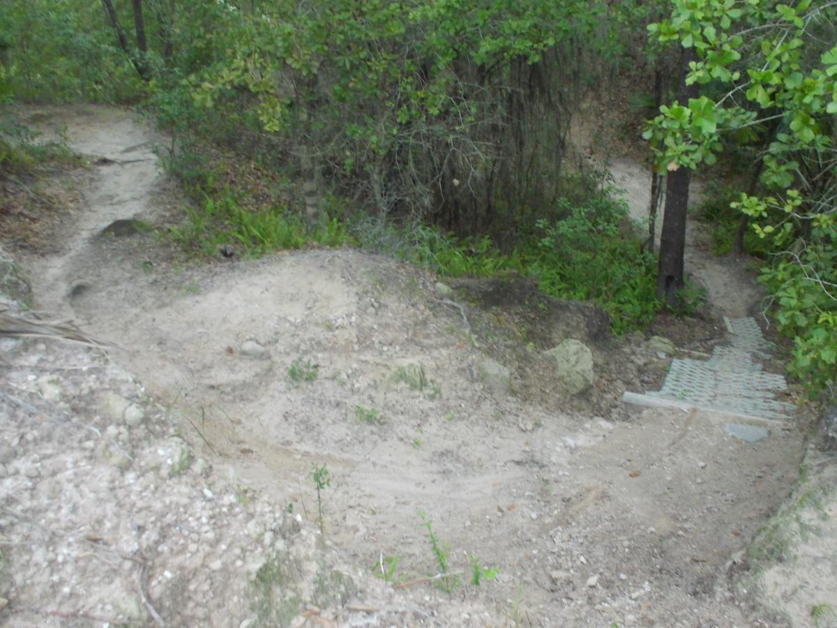 A winding dirt path through a wooded area, featuring a sandy surface and surrounded by lush green foliage. There is a small, elevated section leading to a flat, gridded stepping area, indicating the trail's direction. Wolf River Trail mountain bike trail.