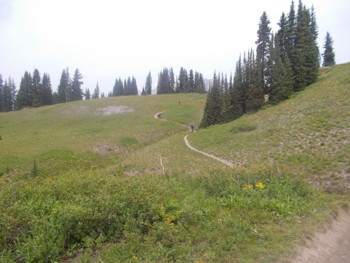 A winding dirt path leads through a grassy meadow surrounded by tall pine trees under a cloudy sky. In the distance, a few hikers can be seen along the trail. The landscape is lush with green vegetation and patches of wildflowers, creating a serene and natural outdoor setting. Trail 401 mountain bike trail.