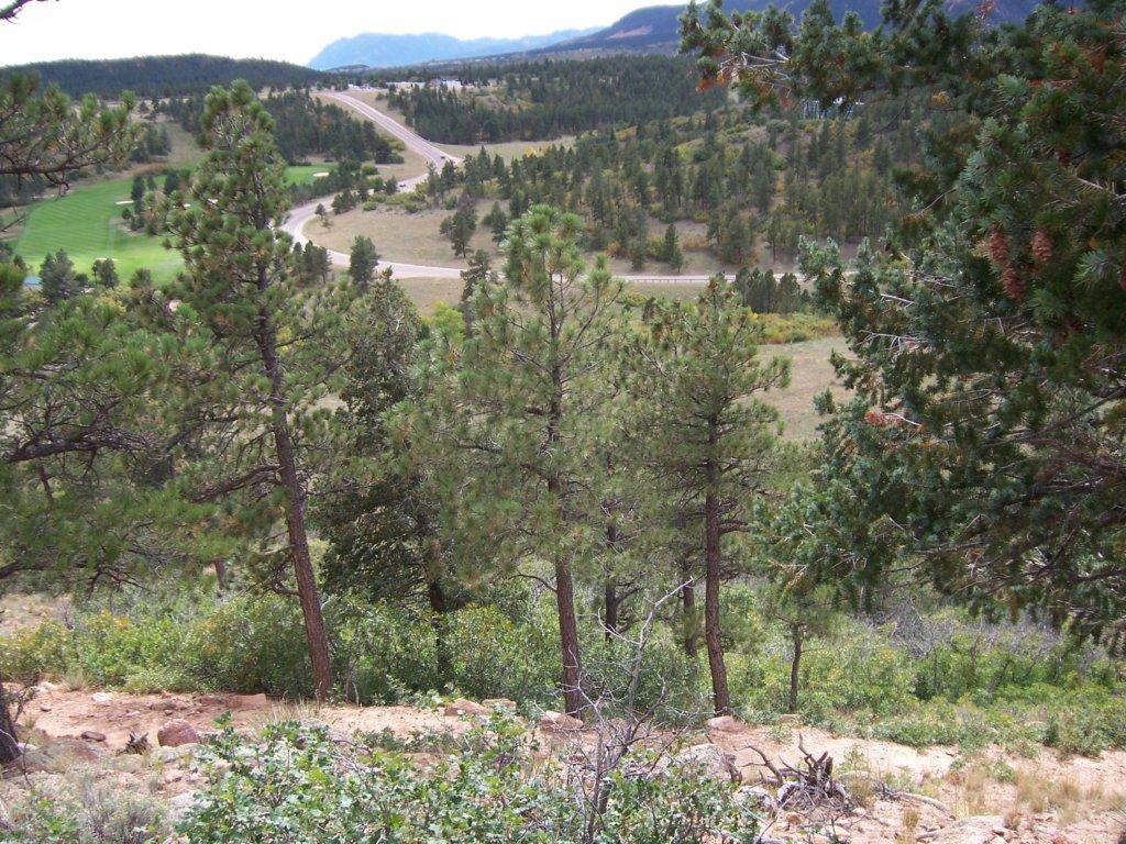 A scenic view from a hillside featuring a mix of pine trees and shrubs, with a winding road visible in the distance. The landscape is characterized by rolling hills and a backdrop of mountains under a cloudy sky. Falcon Trail mountain bike trail.