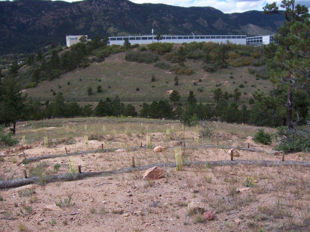 A view of a hilly landscape featuring sparse vegetation and rocky terrain, with a modern building partially visible on the hillside. Pine trees are scattered throughout the area, and mountains can be seen in the background under a cloudy sky. The foreground includes a winding path marked by logs and stakes. Falcon Trail mountain bike trail.