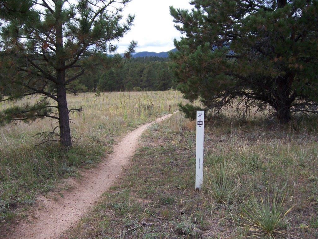 A dirt path winding through a grassy field, flanked by pine trees. A white mile marker sign labeled "Mile 6" is visible along the trail. Clouds cover the sky in the background, with mountains faintly visible in the distance. Falcon Trail mountain bike trail.