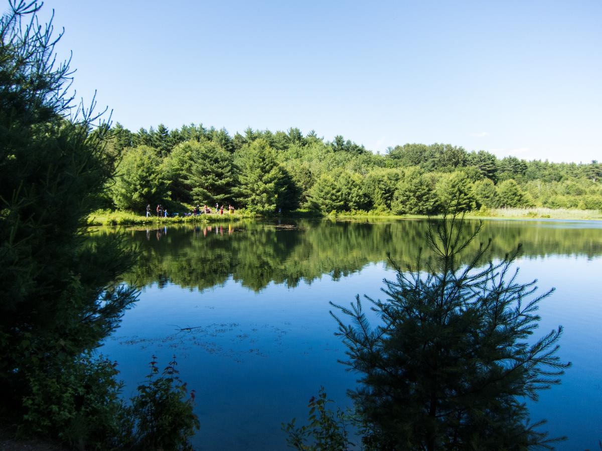 A serene landscape featuring a calm, reflective lake surrounded by dense greenery and pine trees. In the background, a group of people is gathered near the water's edge on a sunny day, with a clear blue sky above. Gregg Woods mountain bike trail.