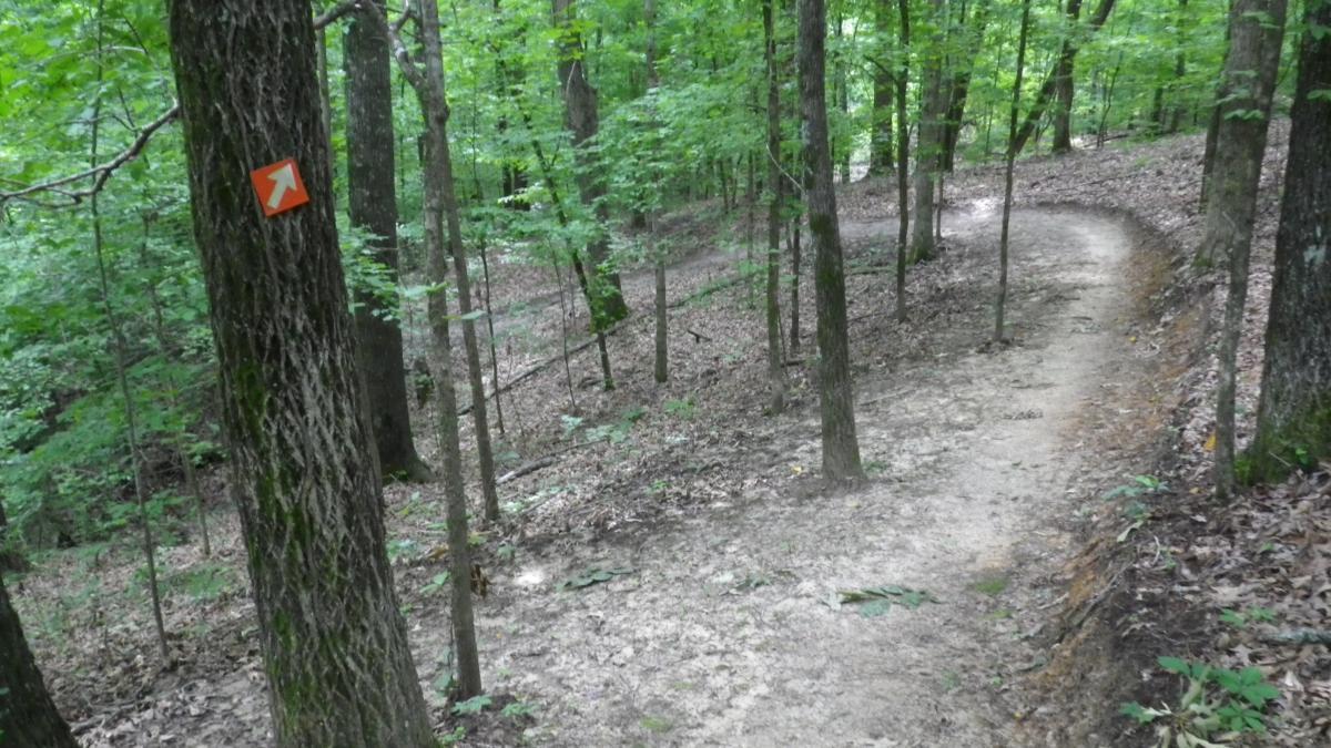 A winding hiking trail through a dense green forest, with an orange directional arrow marker on a tree trunk, indicating a turn in the path. The ground is covered in leaves and dirt, and tall trees surround the trail. The Ridgeland Trails mountain bike trail.