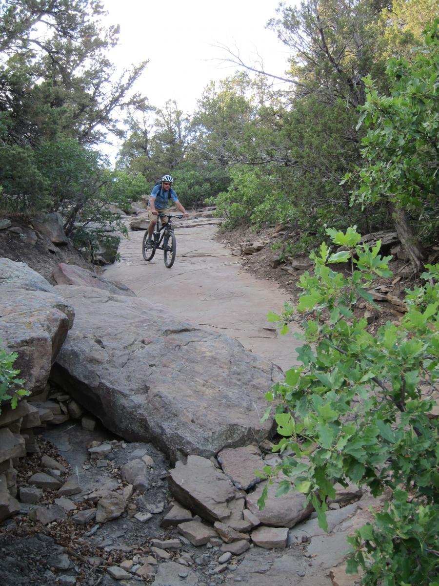 A person riding a mountain bike on a rocky trail surrounded by greenery and trees in a natural outdoor setting. Horse Gulch mountain bike trail.