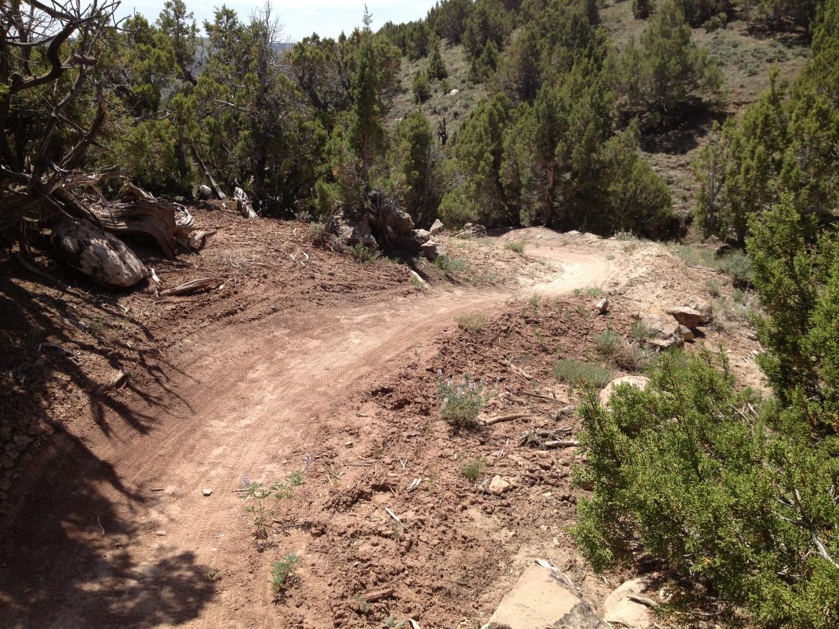 A dirt trail winding through a forested area, surrounded by shrubs and trees. The path shows signs of use, with a slight curve and rocky edges visible. Bright sunlight highlights the natural landscape. Johnny Behind The Rocks mountain bike trail.