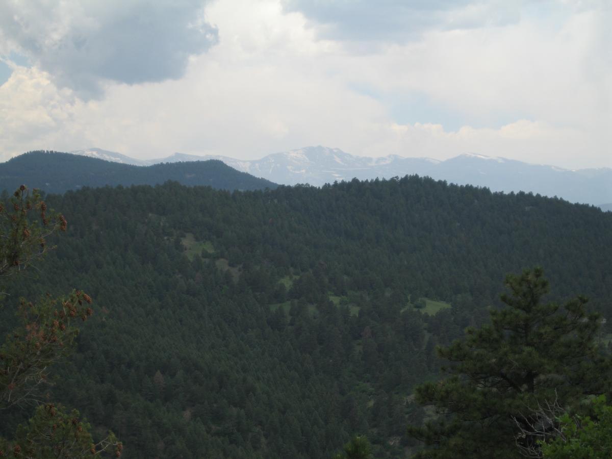 A scenic view of layered mountains in the distance, partially covered with snow, surrounded by lush, dense forests under a cloudy sky. Mount Falcon Park mountain bike trail.