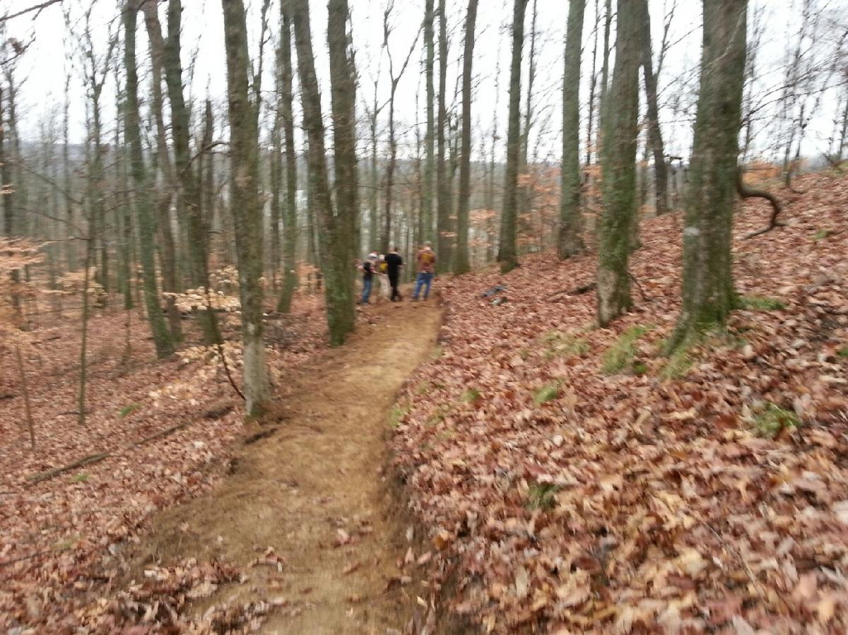 Three people working on a dirt path in a forested area, surrounded by tall trees and scattered fallen leaves. The scene appears to be overcast or slightly foggy, suggesting a cool day. Brier Creek mountain bike trail.