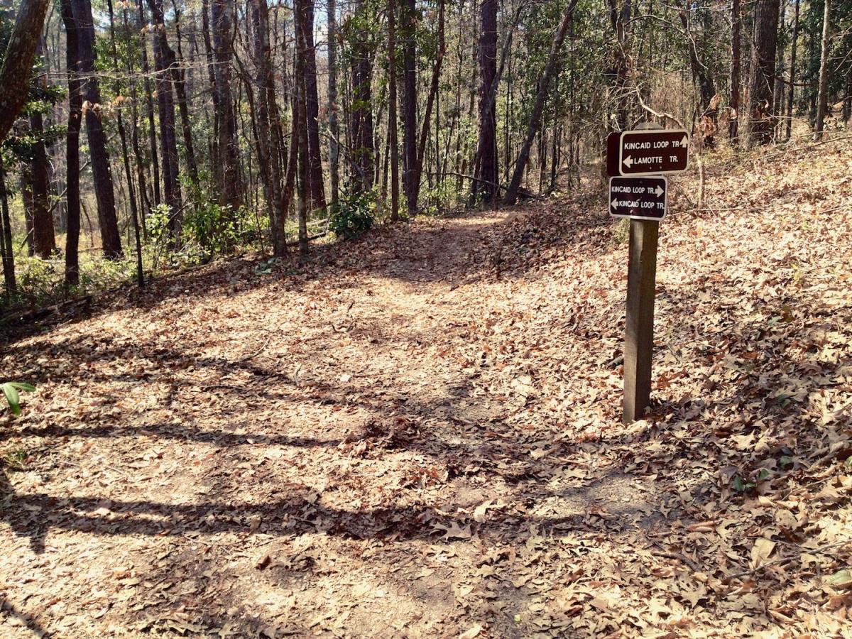 A dirt path leading into a forest, covered in fallen leaves. A wooden signpost stands at the fork, indicating trails: "Kincaid Loop Trail" to the right and "Lamotte Trail" to the left. Sunlight filters through the trees, casting shadows on the ground. Kincaid Lakeshore Trail mountain bike trail.