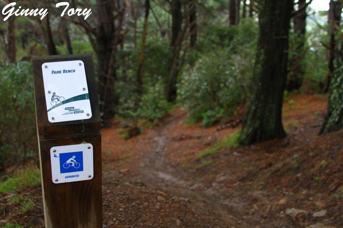 Signage indicating a park bench and advanced bike trail in a wooded area, with a winding dirt path visible in the background. The signs feature icons for biking and sitting, with descriptive text labeled "Park Bench" and "Advanced." The scene is surrounded by trees and a natural forest floor. Mt Victoria mountain bike trail.