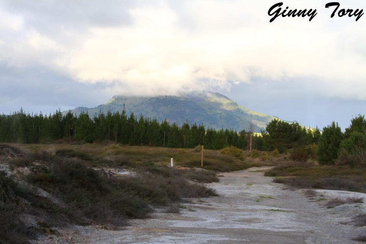 A scenic view of a forested landscape with a dirt path leading toward a distant mountain partially covered by clouds. The foreground features low shrubs and scattered vegetation, while a dense line of trees borders the area. The overall atmosphere is tranquil and natural, with soft lighting from an overcast sky. Craters Mountain Bike Park mountain bike trail.