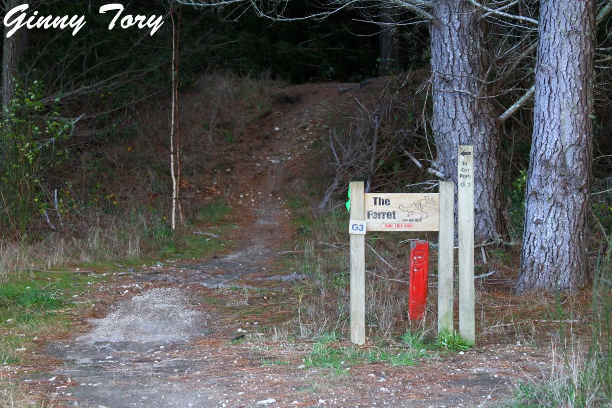 A dirt path leading into a wooded area, with a wooden sign labeled "The Ferret" indicating directions for riders. A red marker is nearby, and another sign points to car park G2. The scene is surrounded by tall trees and underbrush. Craters Mountain Bike Park mountain bike trail.