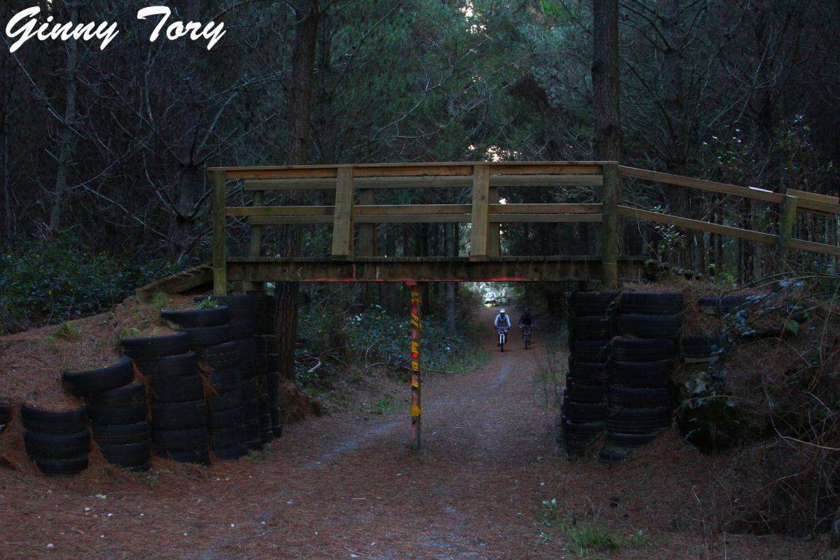 Wooden bridge spanning a forested pathway surrounded by tall trees, with tire walls on either side of the trail. Two cyclists riding along the path underneath the bridge, which is illuminated by soft natural light filtering through the trees. Craters Mountain Bike Park mountain bike trail.