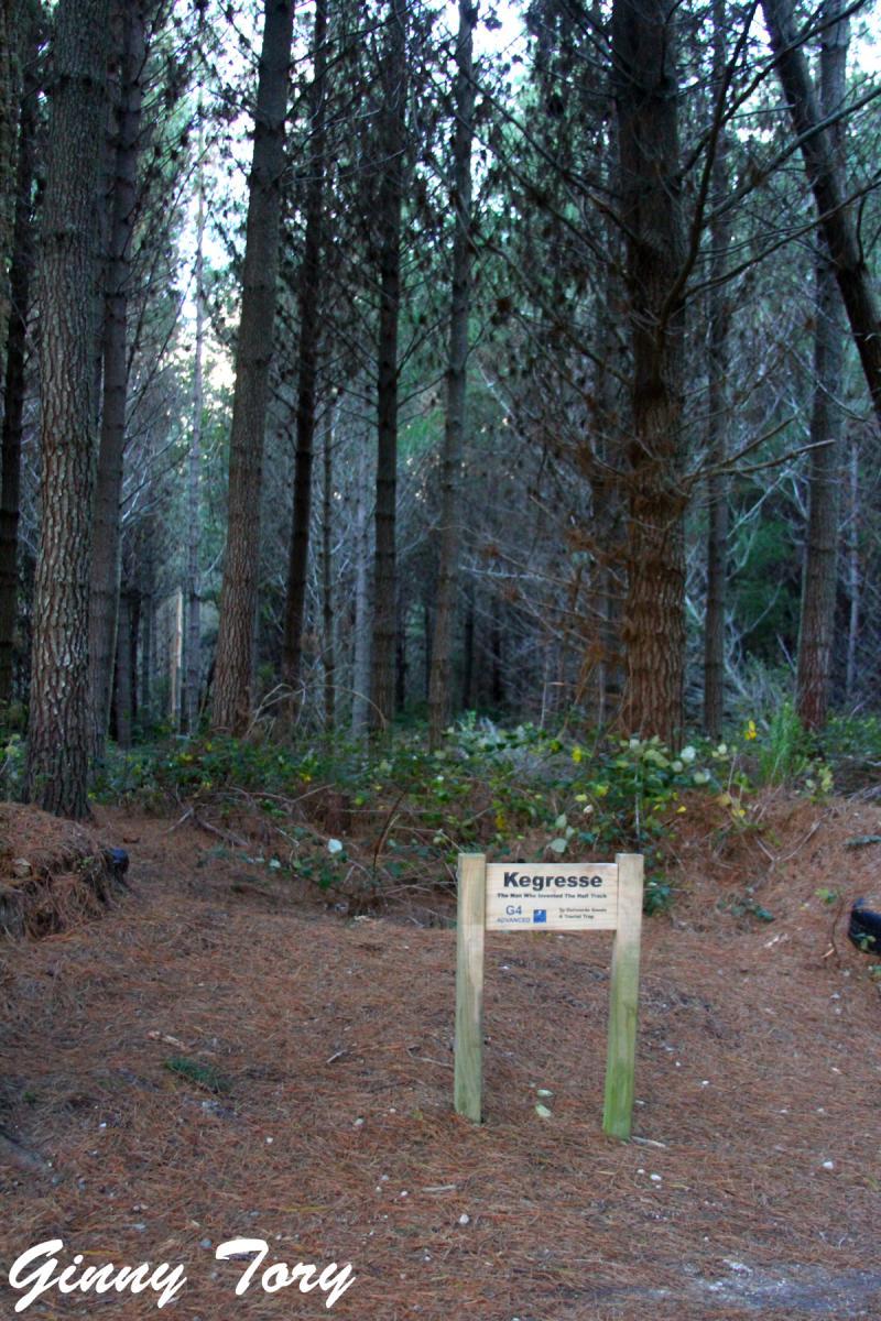 A serene forest scene featuring tall trees with dense green foliage. In the foreground, there is a wooden signpost indicating a trail named "Kegresse." The ground is covered with pine needles, and the lighting suggests an early evening atmosphere. Craters Mountain Bike Park mountain bike trail.