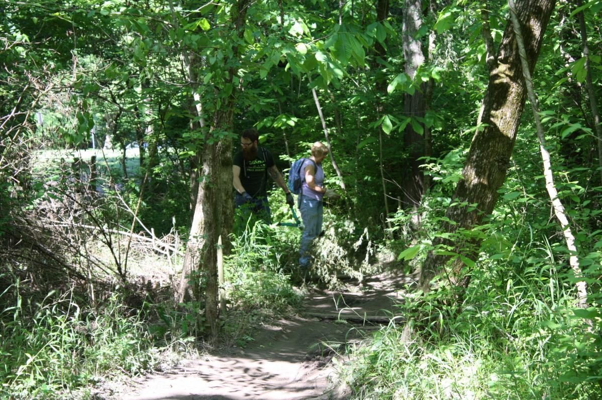 Two people walking on a narrow trail in a dense, green forest. One person is holding a tool, while the other appears to be observing their surroundings. Sunlight filters through the leaves, illuminating the lush vegetation and the pathway. Roller Coaster mountain bike trail.