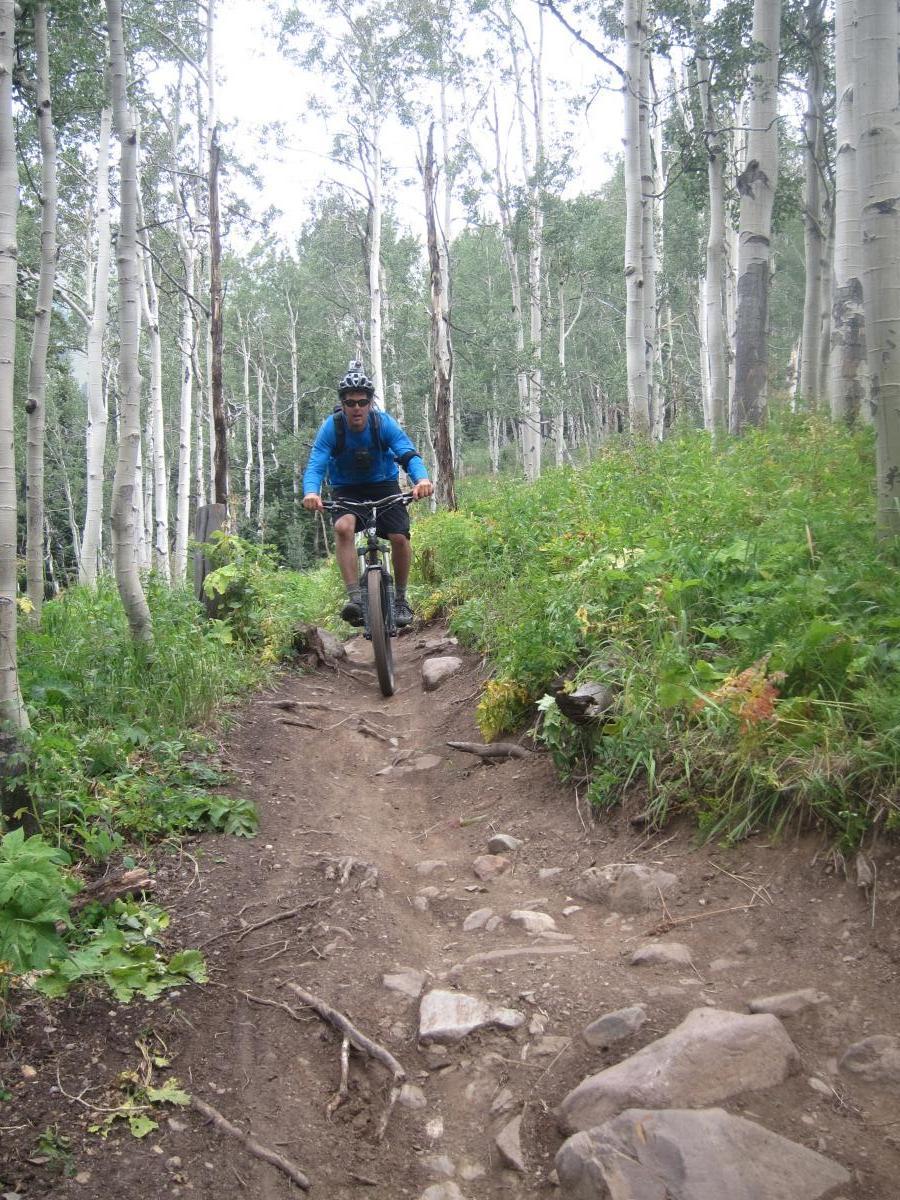 A cyclist navigating a rocky mountain biking trail through a lush green forest with tall aspen trees in the background. The rider is wearing a blue long-sleeve shirt, helmet, and sunglasses, focusing on the path ahead. Trail 401 mountain bike trail.