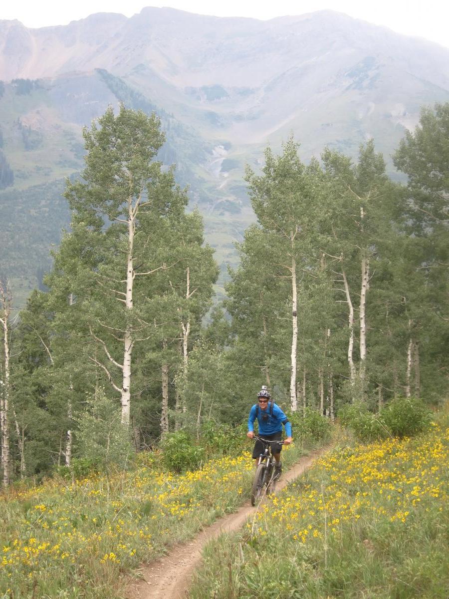 A mountain biker riding along a dirt trail surrounded by lush greenery and wildflowers, with towering mountains in the background under a cloudy sky. Trail 401 mountain bike trail.