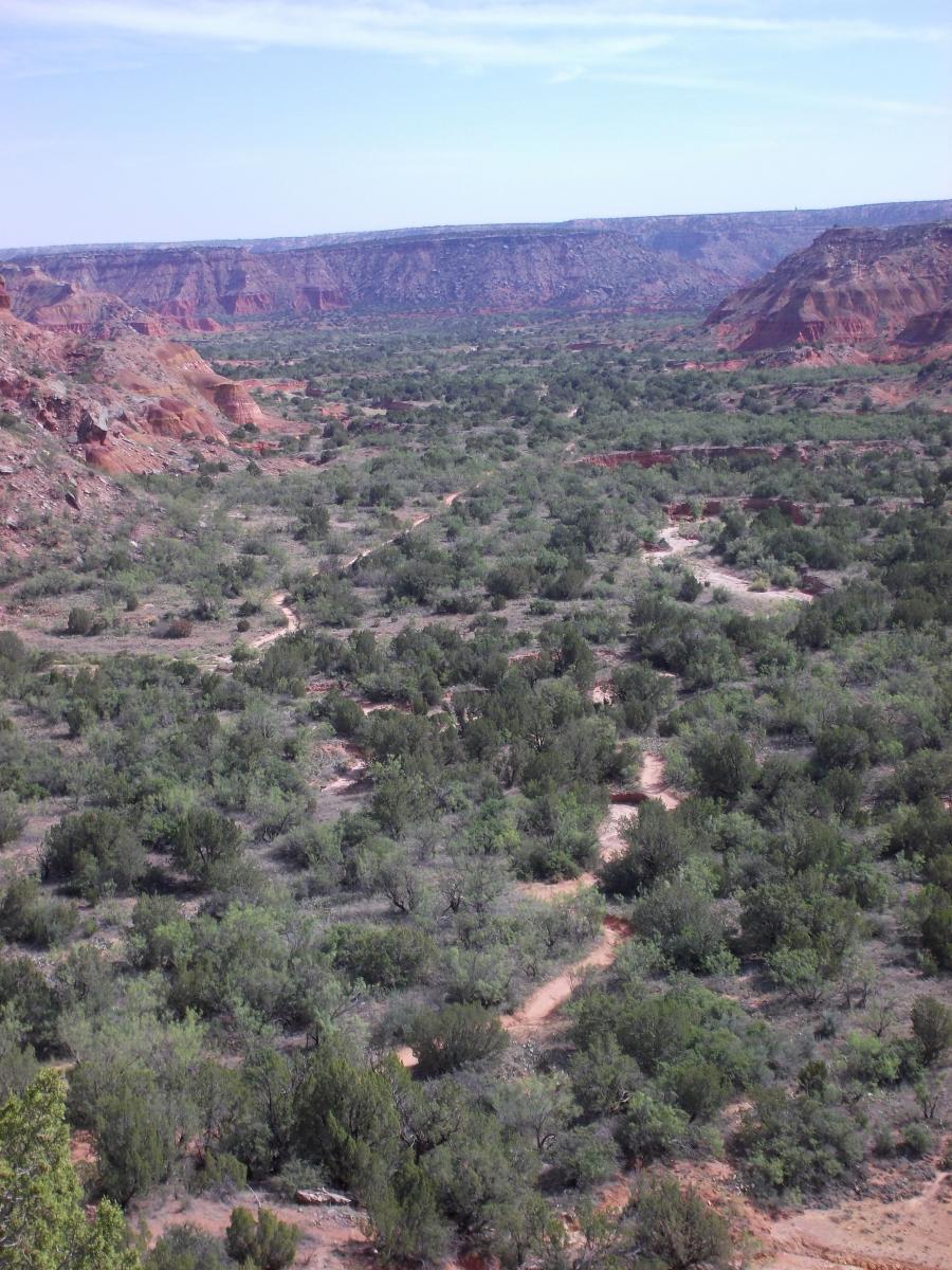 A panoramic view of a rugged canyon landscape featuring reddish-brown rock formations and expansive green vegetation in a valley. Trails meander through the lush underbrush, framed by steep canyon walls and a clear blue sky. Palo Duro Canyon mountain bike trail.
