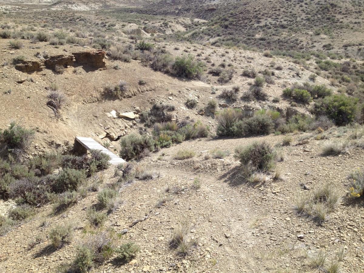 A dry, rugged terrain with sparse vegetation, featuring a small wooden bridge over a shallow gully. The landscape is rocky and arid, with hills and shrubs visible in the background under a clear sky. Pick Your Poison mountain bike trail.