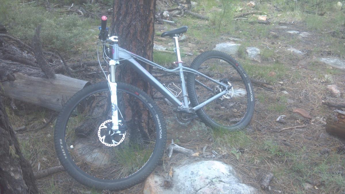 Giant 2012 Rainier 29er W: A silver mountain bike leaning against a tree in a forested area, surrounded by rocks and fallen branches. The bicycle has thick tires designed for off-road terrain.