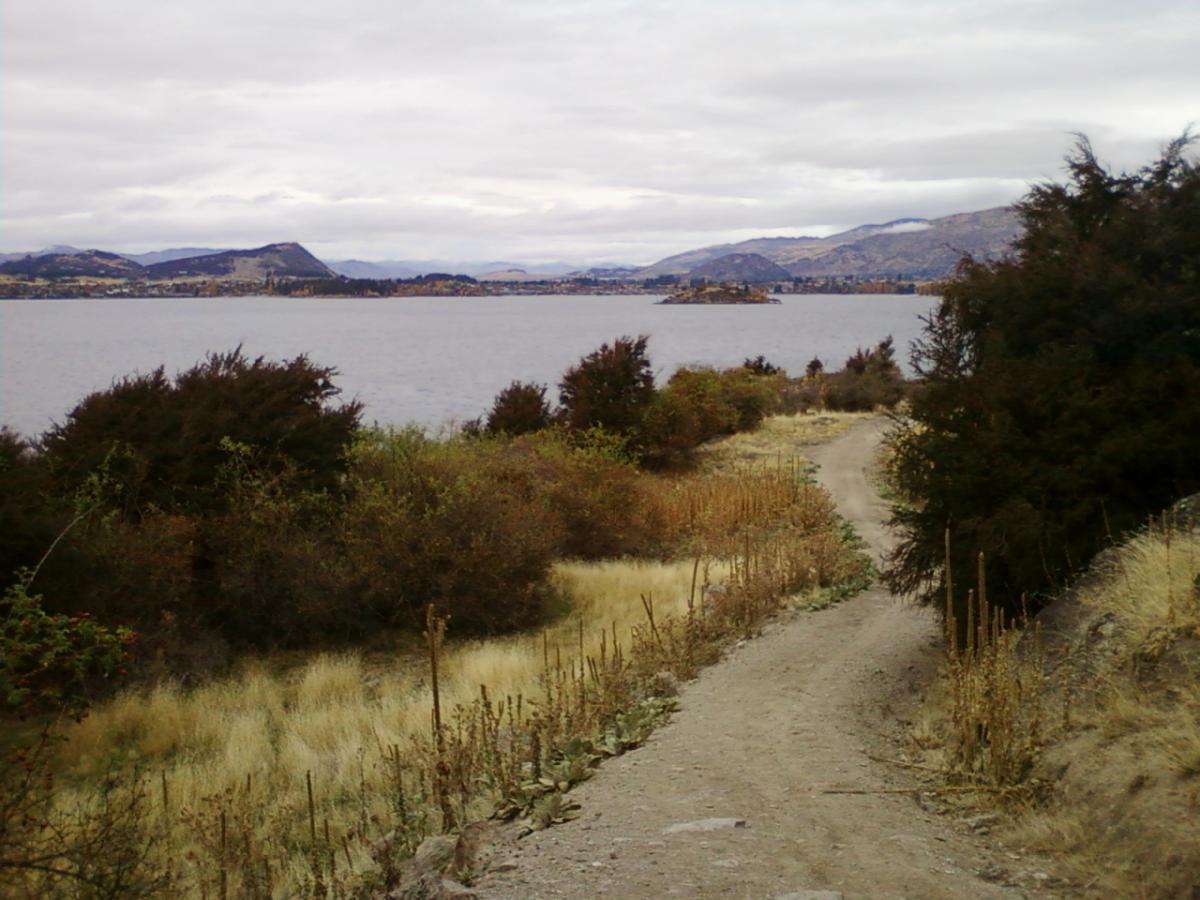 A scenic landscape featuring a dirt path winding through shrubs and grasses, leading towards a calm body of water. In the background, hills and mountains rise under a cloudy sky, with a small island visible on the water's surface. The scene captures the tranquility of nature. Glendhu Bay Track mountain bike trail.