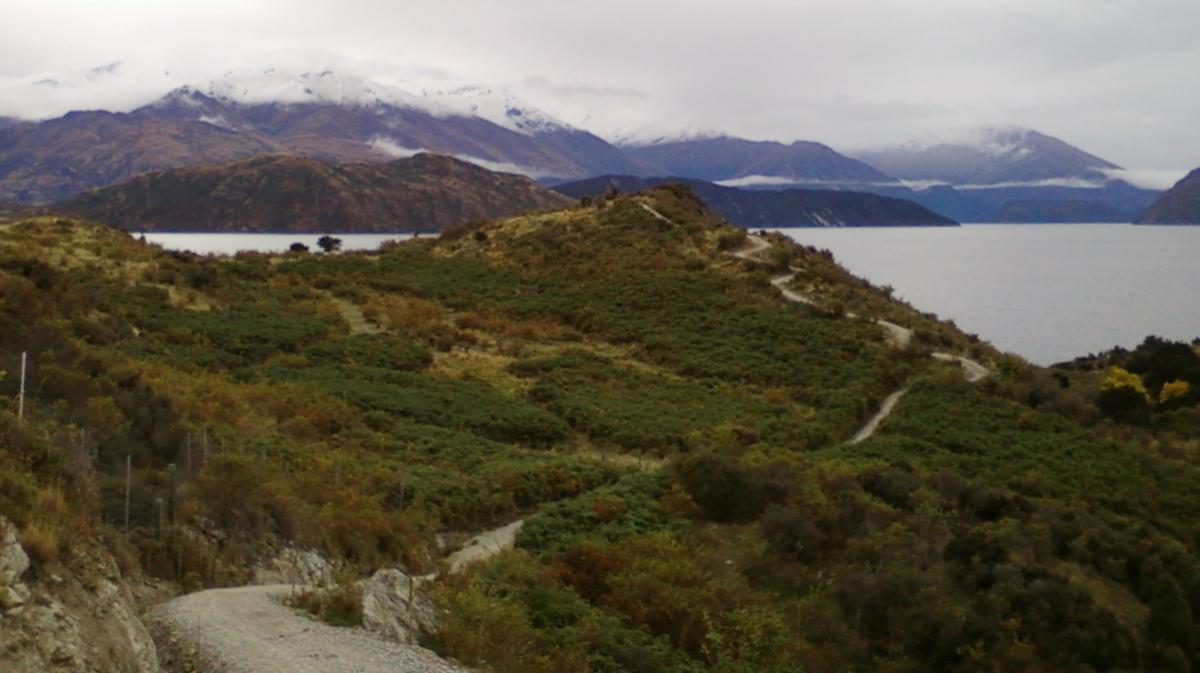 A scenic view of a hilly landscape with lush greenery, winding paths, and a serene body of water in the background. Snow-capped mountains rise in the distance under a cloudy sky. Glendhu Bay Track mountain bike trail.