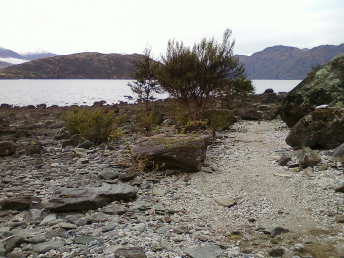 A rocky shoreline with scattered stones and patches of green vegetation, leading to a calm body of water surrounded by mountains. The sky is overcast, adding to the serene atmosphere of the landscape. Glendhu Bay Track mountain bike trail.