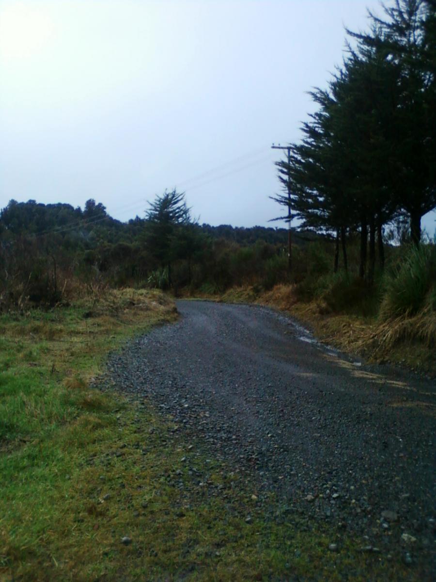 A winding gravel road surrounded by tall trees and vegetation under a cloudy sky. The path curves gently to the left, with green grass and shrubs lining the sides. Power lines are visible in the background, suggesting a remote, natural setting. Fishers Track mountain bike trail.