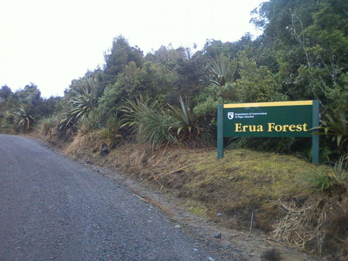 Signpost for Erua Forest located along a gravel road, surrounded by lush greenery and native plants. The sign is green with yellow lettering, indicating it is managed by the Department of Conservation. Erua Forest Trail mountain bike trail.