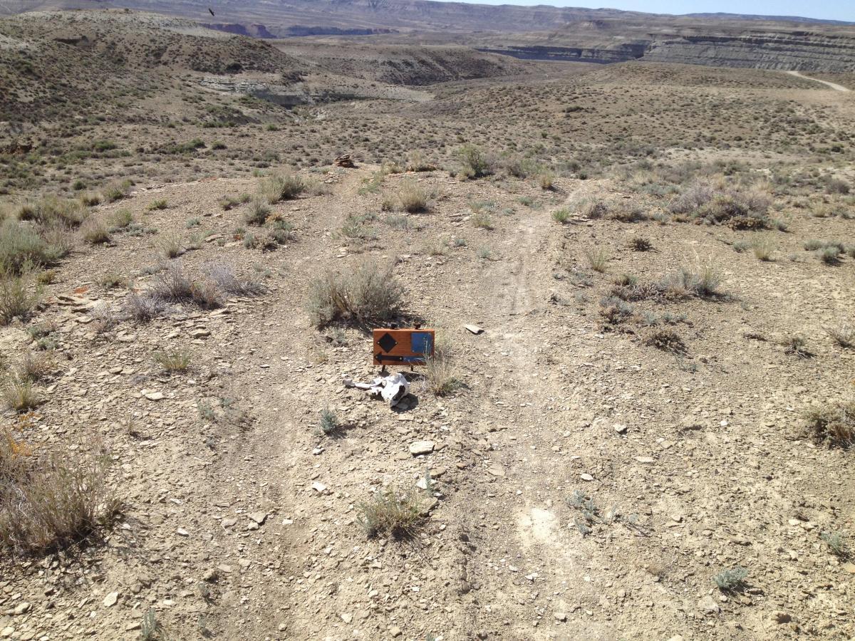 A dirt path leading through a dry, desert-like landscape with sparse vegetation and small rocks. A wooden sign with an arrow is placed on the ground, indicating a direction. In the foreground, there are remnants of animal bones. The background features distant hills and canyons under a clear blue sky. Pick Your Poison mountain bike trail.