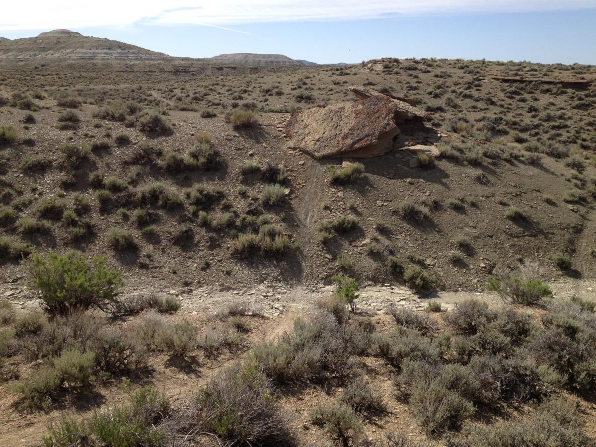 A arid landscape featuring rocky terrain and sparse vegetation, including low shrubs and patches of grass. A large boulder is positioned on a slope, with distant hills visible in the background under a clear sky. The image captures the rugged beauty of the desert environment. Pick Your Poison mountain bike trail.