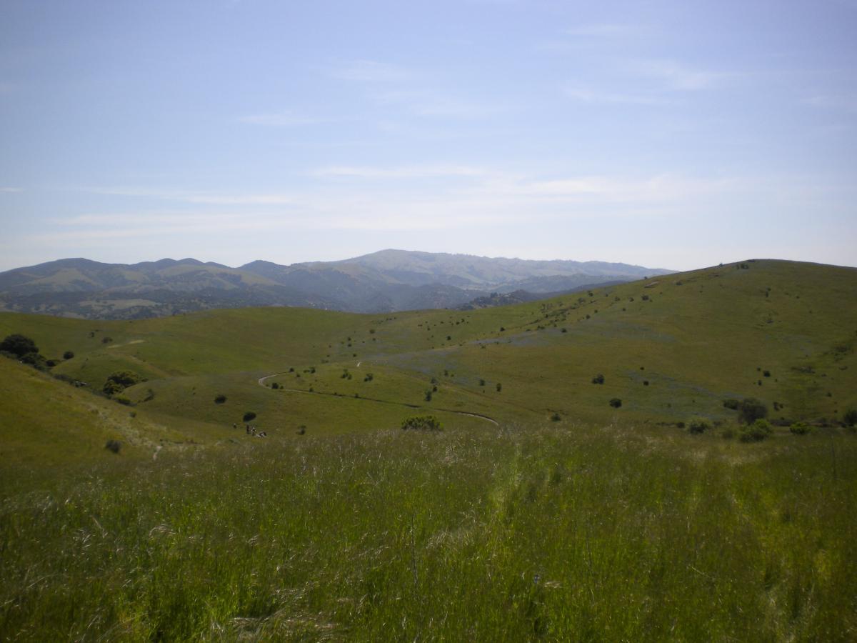 A serene landscape featuring rolling green hills under a clear blue sky, with distant mountains in the background. The foreground consists of tall grass swaying gently in the breeze, while a winding path can be seen leading through the hills, suggesting a peaceful outdoor setting. Fort Ord Public Lands mountain bike trail.