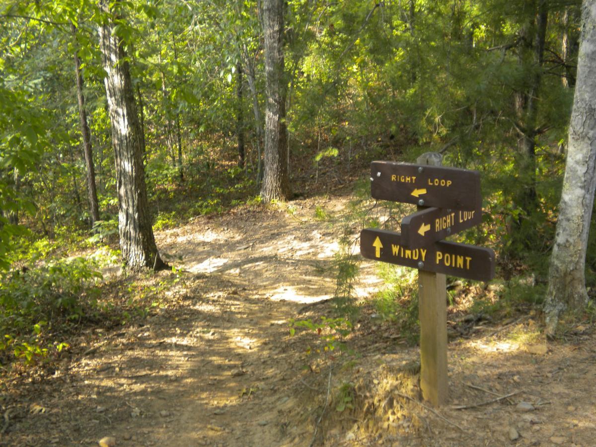 A wooden trail sign at a fork in a forested area, indicating directions to "Right Loop" and "Windy Point." The path is surrounded by trees and underbrush, with dappled sunlight illuminating the scene. Tsali Recreation Area mountain bike trail.