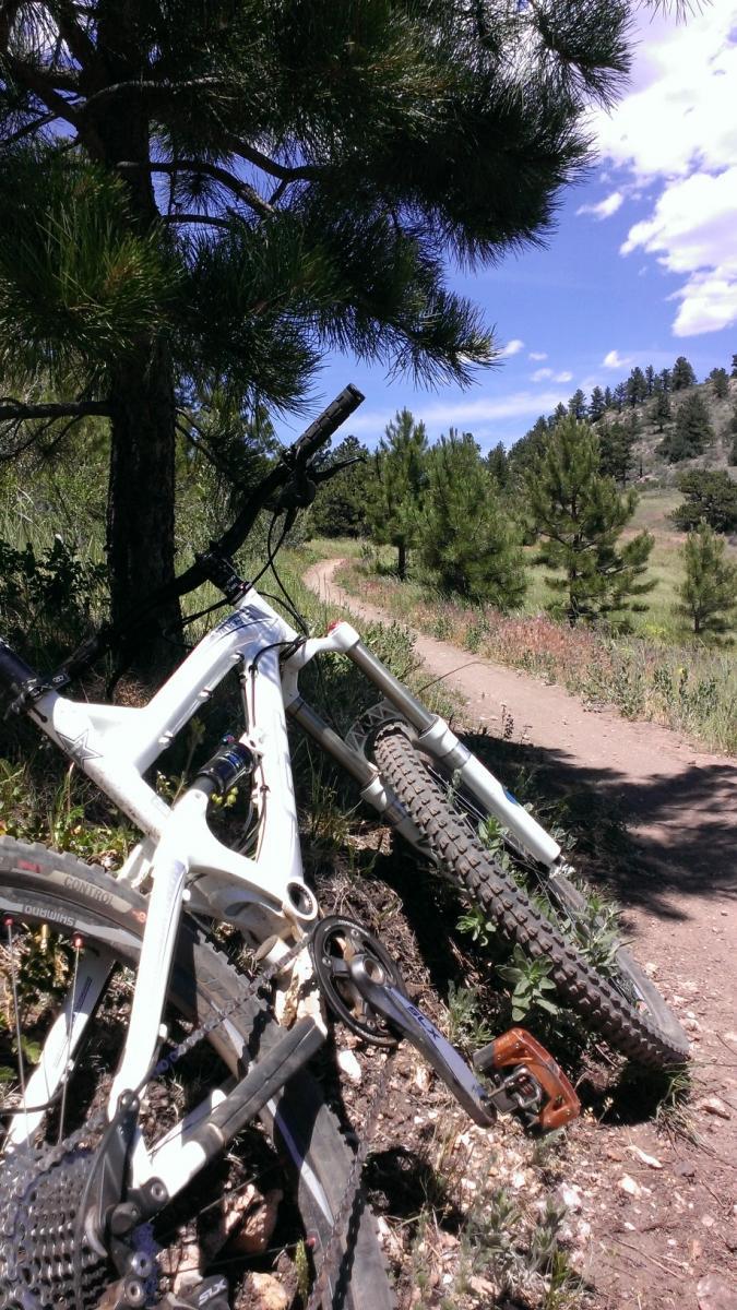 A white mountain bike leaning against a tree, with a dirt path winding through a landscape of green pine trees and blue sky in the background. Centennial Cone Park mountain bike trail.