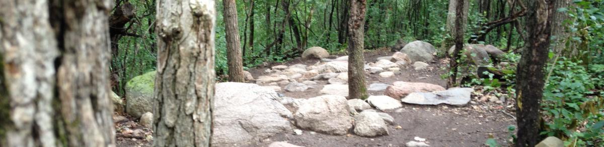 A winding dirt path surrounded by trees and large rocks in a forested area. The scene captures a serene natural environment, with lush greenery and uneven terrain. Lebanon Hills mountain bike trail.