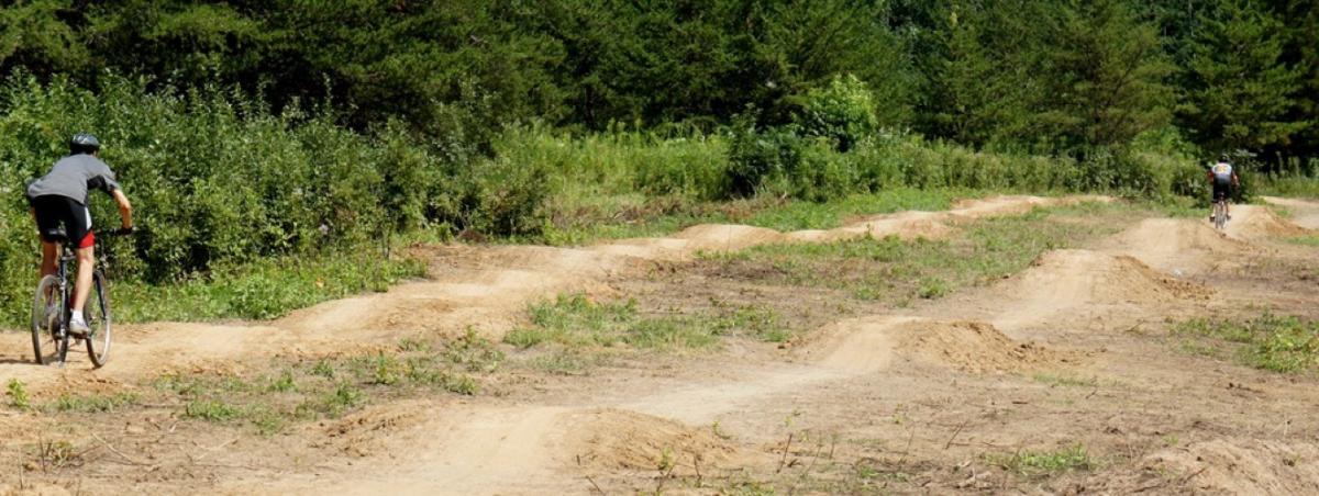 Two cyclists navigate a dirt trail with bumps and dips, surrounded by lush greenery in a wooded area. The sunlight shines down, indicating a bright day for biking. Lebanon Hills mountain bike trail.