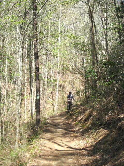 A cyclist riding along a narrow dirt trail surrounded by trees in a lush green forest. Tanasi Trail System mountain bike trail.