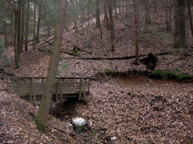 A wooden footbridge crossing over a small stream in a wooded area, surrounded by trees and a carpet of fallen leaves on the forest floor. The hillside in the background features a mix of trees and exposed roots. Tanasi Trail System mountain bike trail.