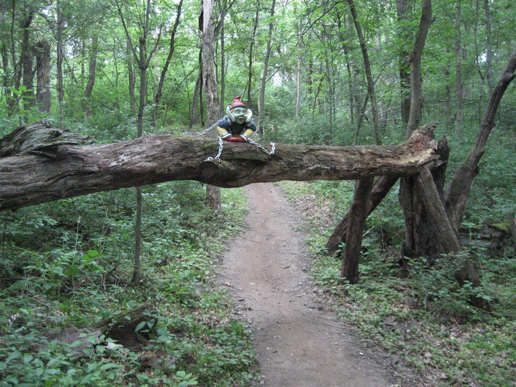 A whimsical scene featuring a small figurine sitting on a fallen tree trunk in a dense, green forest. The figurine is dressed in colorful clothing and is playfully chained to the log. A dirt path winds through the greenery, inviting exploration. Lebanon Hills mountain bike trail.
