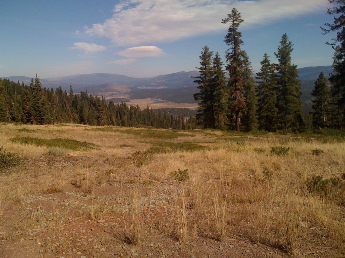 A scenic view of a mountainous landscape featuring a foreground of dry grass and small vegetation, leading to a sweeping vista of rolling hills and distant mountains under a clear blue sky with a few wispy clouds. Tall evergreen trees are visible on the left side of the image, adding to the natural beauty of the scene. Sweetwater Trail mountain bike trail.