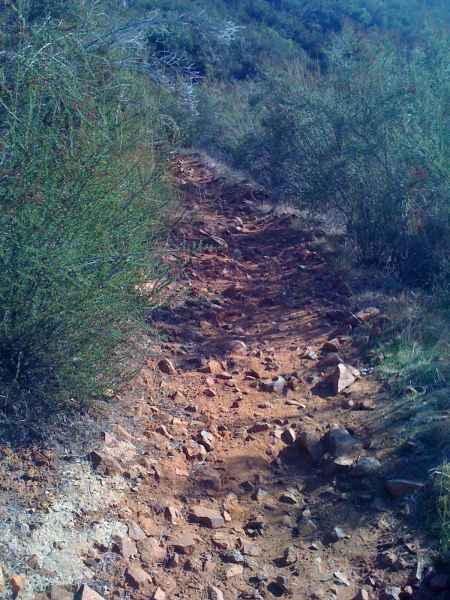 A rocky hiking trail bordered by low shrubs and plants, leading through a natural landscape with rolling hills in the background. The path is uneven and consists of loose stones and dirt. Sweetwater Trail mountain bike trail.