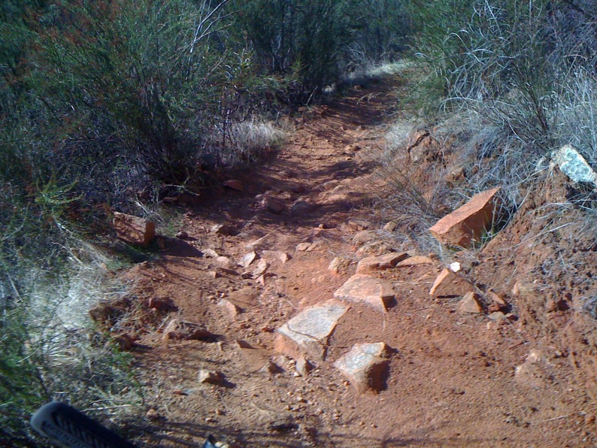 A rugged dirt trail surrounded by sparse vegetation, featuring scattered rocks and reddish earth, indicating a natural outdoor setting for hiking or biking. Sweetwater Trail mountain bike trail.