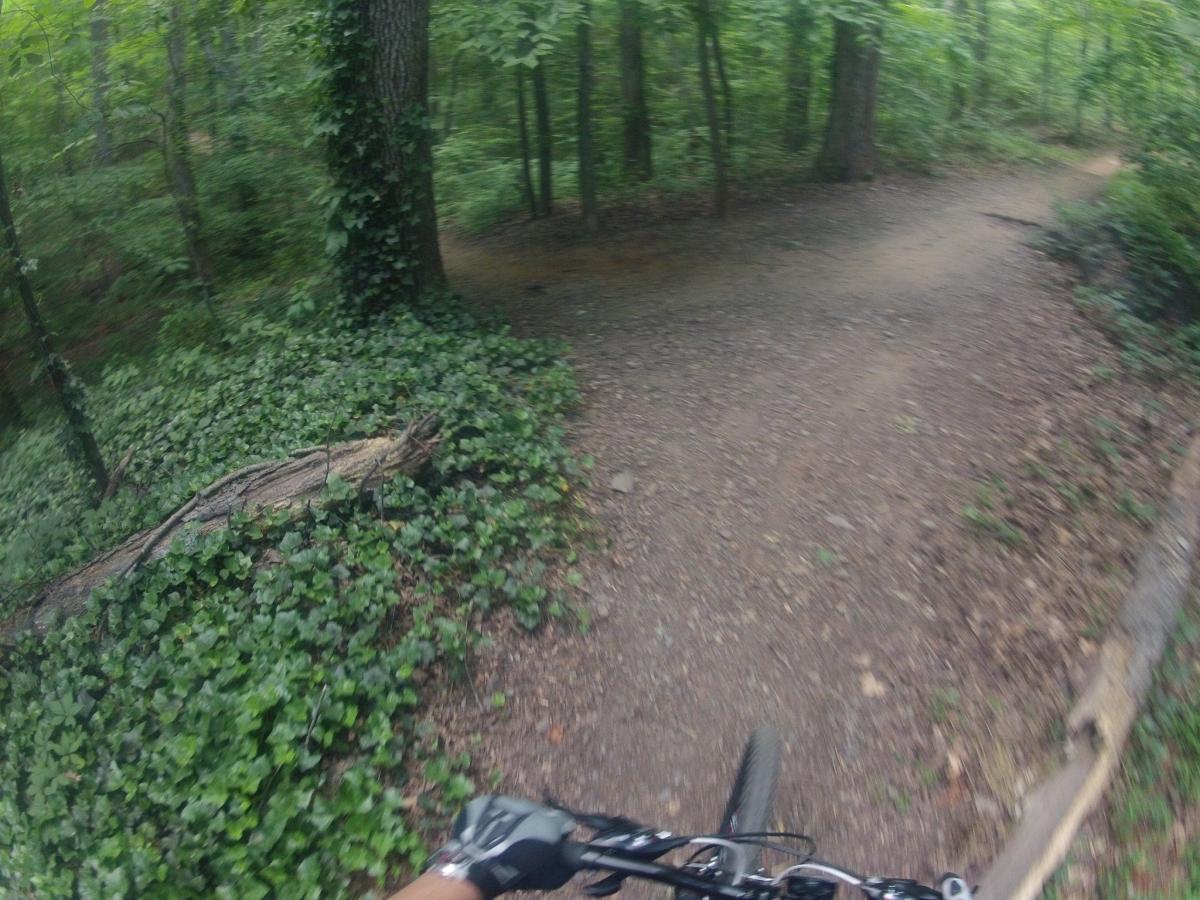 A close-up view of a mountain bike handlebar navigating a winding dirt trail surrounded by lush green foliage and trees in a forest setting. Sope Creek mountain bike trail.