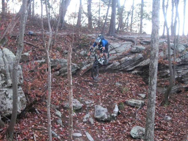 A mountain biker descending a rocky trail surrounded by autumn foliage and trees. The rider is wearing a blue jersey and is mid-action, navigating over rocks and roots on a dirt path. Raccoon Mountain Trail Network mountain bike trail.