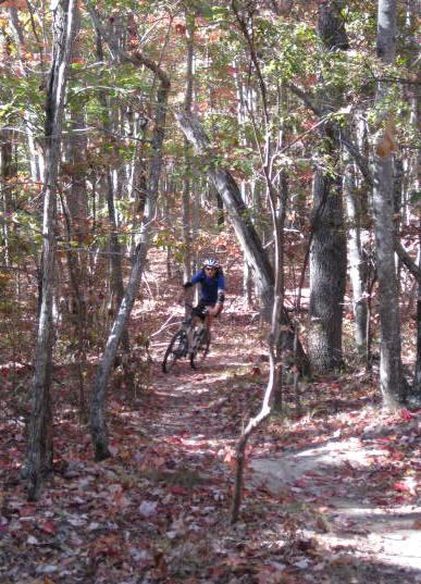 A mountain biker navigating a narrow dirt trail through a forest of trees, with autumn leaves scattered on the ground. The scene is illuminated by soft natural light, highlighting the vibrant colors of fall foliage. Raccoon Mountain Trail Network mountain bike trail.