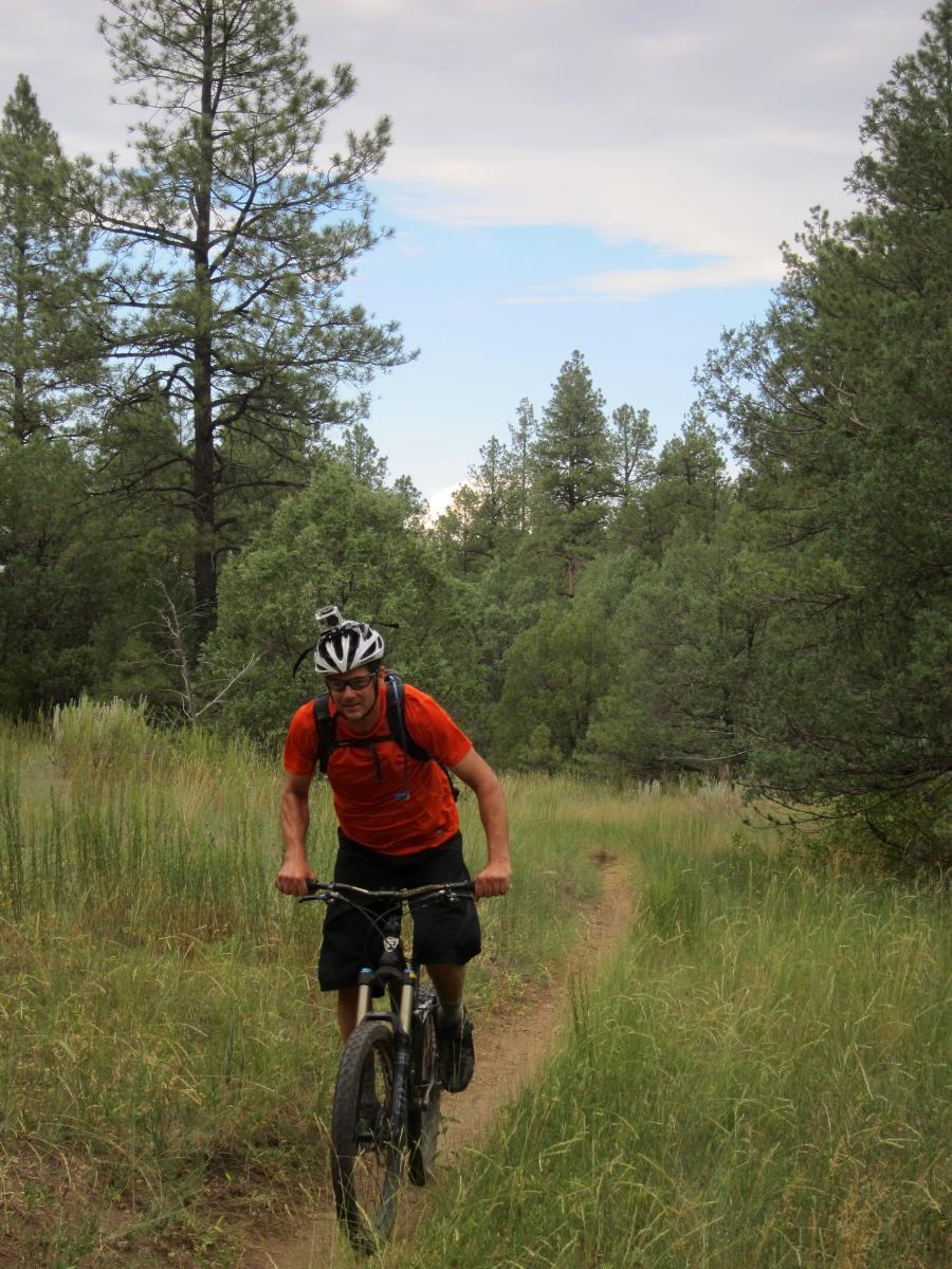 A mountain biker wearing an orange shirt and a helmet rides along a dirt trail surrounded by tall green grass and pine trees under a cloudy sky. Otero Canyon mountain bike trail.