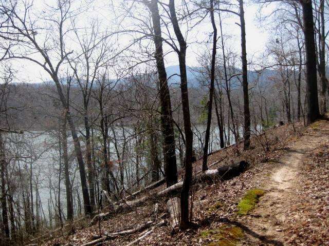 A scenic view of a wooded area along a riverbank, featuring bare trees and a dirt pathway. The river is visible through the trees, with distant mountains in the background under a clear sky. Brush Creek mountain bike trail.