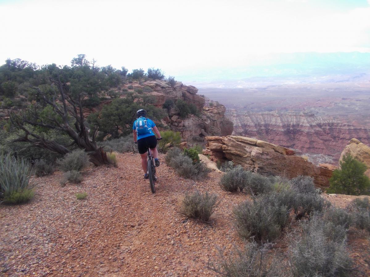 A mountain biker riding along a rocky trail in a scenic landscape, surrounded by shrubs and trees, with vast canyon views in the background under a cloudy sky. Gooseberry Mesa mountain bike trail.