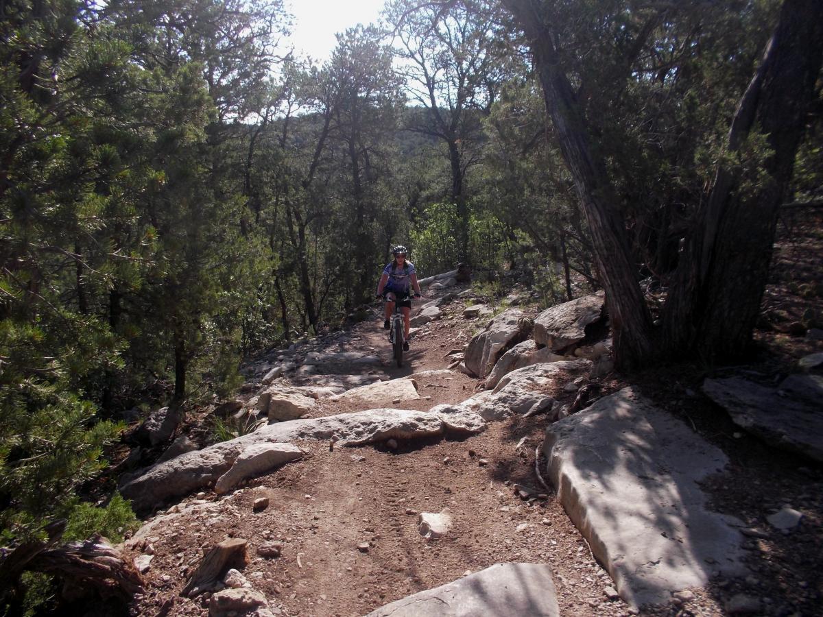 A person riding a mountain bike along a rocky trail in a wooded area, surrounded by trees and natural vegetation. Tunnel Canyon mountain bike trail.