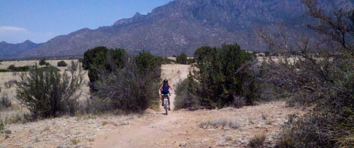 A person riding a bicycle along a dirt path surrounded by shrubs and low vegetation, with mountains in the background under a clear blue sky. Sandia Mountains Foothill Trail mountain bike trail.